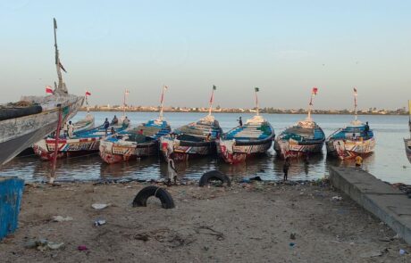 14 Senegal